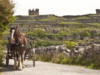 Holiday Home Galway Bay - TR4Lodge by Interhome - 1