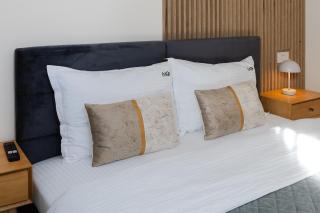 MoHost Art - Feel the Art of Comfort - 6