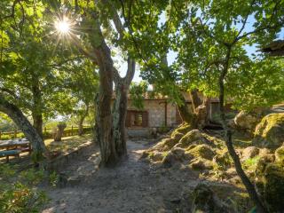 Holiday Home Sottopoggetto by Interhome - 3