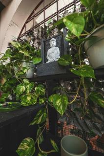 Il Nido dei Cigni - 5