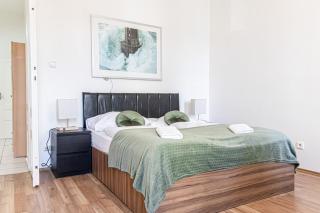 Chic 2BR Shared Apt very Central in Vienna - 0