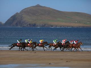 Holiday Home Dingle Bay View - TR2 by Interhome - 8