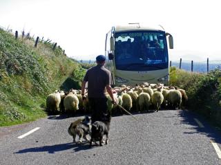 Holiday Home Dingle Bay View - TR2 by Interhome - 6