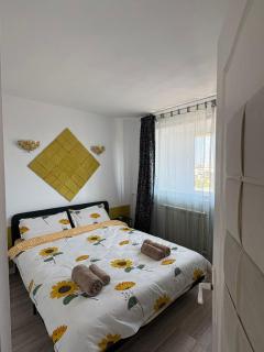 Sunny 2Bedroom Apartment - 6