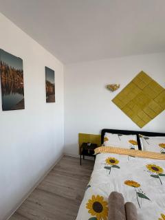 Sunny 2Bedroom Apartment - 5