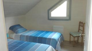 Les Hirondelles du Cap - 2