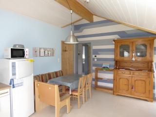 Les Hirondelles du Cap - 5