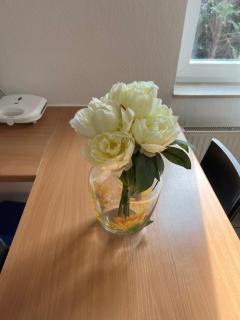 Wohnung Petridis - 2