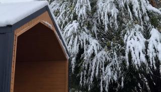 Kolsay and Kaiyndy lakes COZYREST - 5