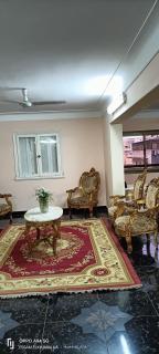 Alexandria Egypt - 7