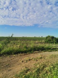 The Peppertree - Chill Kraal - 5