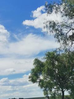 The Peppertree - Chill Kraal - 6