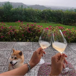 Alla Torre Antica - 8