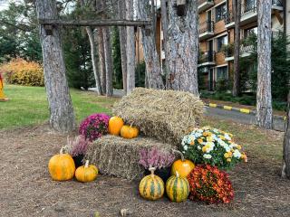 Hotel Panorama Velingrad - 9