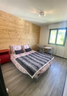 Studio à Gérardmer, les Dryades - 7