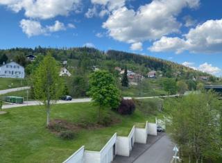 Studio à Gérardmer, les Dryades - 3