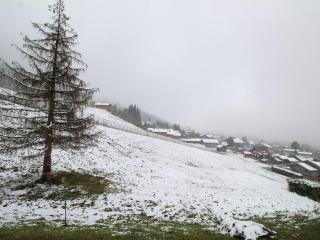 Studio spacieux 4 pers avec parking et lave-vaisselle - FR-1-572-93 - 4