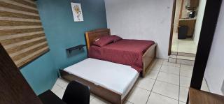 Depa Santiago - Arena Guadalajara - 3