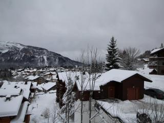 Studio spacieux 4 pers : parking, lave-vaisselle, proche télécabine - FR-1-572-108 - 1