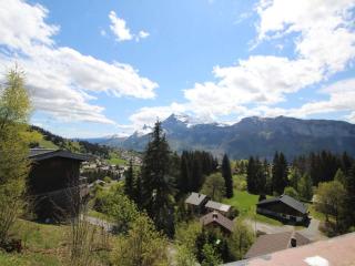 Chalet 5 ch, 11 pers, terrasse sud, Les Carroz - FR-1-572-115 - 1