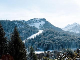 Appartement 3 pièces avec garage, terrasse, proche pistes et commerces à Arâches-la-Frasse - FR-1-572-250 - 5