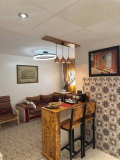 Modern apartment with garden - 0