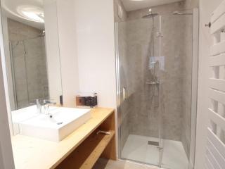 Appartement ski aux pieds, 3 pièces, 6 pers, terrasse sud, près des Carroz - FR-1-572-248 - 1