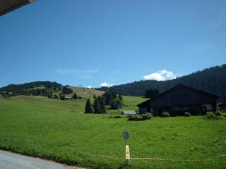 Appartement skis aux pieds, 3 chambres, hammam, wifi, parking - Crest-Voland - FR-1-733-43 - Crest-Voland - 1