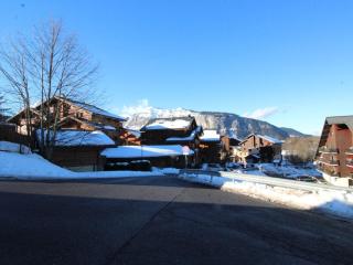 Studio 4 pers avec lave-linge, pied des pistes et parking couvert à Arâches-la-Frasse - FR-1-572-266 - 1