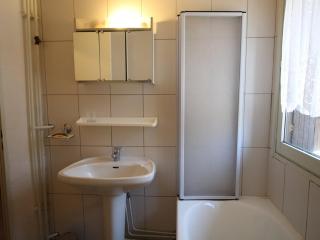 Studio aux Carroz 4 pers, balcon, proche commerces et pistes - FR-1-572-254 - 5