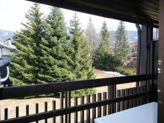 Studio aux Carroz 4 pers, balcon, proche commerces et pistes - FR-1-572-254 - 4