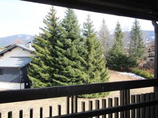 Studio aux Carroz 4 pers, balcon, proche commerces et pistes - FR-1-572-254 - 3