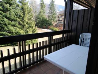 Studio aux Carroz 4 pers, balcon, proche commerces et pistes - FR-1-572-254 - 2