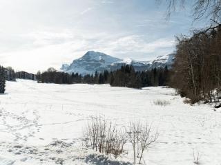 Studio 4 pers au pied des commerces, 450 m des pistes - FR-1-572-256 - 4