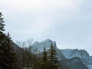 Studio 4 pers au pied des commerces, 450 m des pistes - FR-1-572-256 - 2