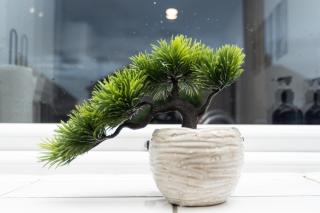 Hawthorne House - Central Telford - With Parking - 6