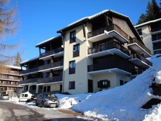 Studio 4 pers. avec lave-linge, balcon et accès direct aux pistes - Proche centre des Carroz - FR-1-572-176 - 0