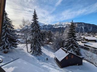 Studio 4 pers avec balcon, près des remontées mécaniques - FR-1-572-149 - 8