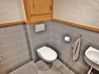 Charmant 3 pièces rénové avec sauna et jacuzzi pour 6 pers. au Grand-Bornand - FR-1-458-107 - 6