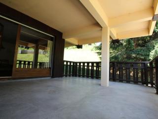 Ski aux pieds, 2 pièces rénové, 5 couchages, terrasse, parking, proche commerces et services - FR-1-572-145 - 3