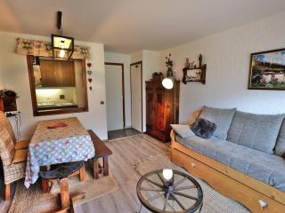 Studio confortable pour 4 personnes au Grand-Bornand - FR-1-458-123 - 6