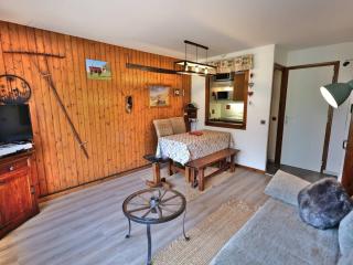 Studio confortable pour 4 personnes au Grand-Bornand - FR-1-458-123 - 5