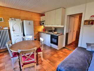 Charmant 3 pièces, plein centre, proche pistes et commerces, balcon exposé sud, idéal famille - FR-1-458-90 - 0