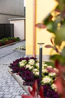 Bilocale Gelsomino - Monolocale Bucaneve - Cascina Da Rosa - 1