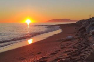 Guesthouse Sleeps 2 - Pool Access - Pets Welcome - 7