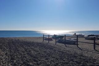 Guesthouse Sleeps 2 - Pool Access - Pets Welcome - 3