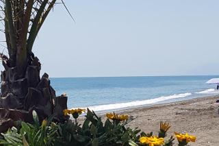 Guesthouse Sleeps 2 - Pool Access - Pets Welcome - 1