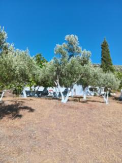 Maison de montagnes - 5