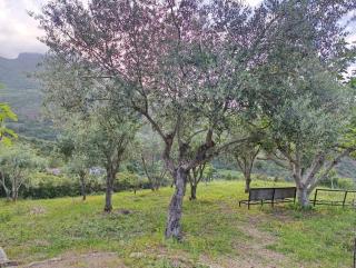 Maison de montagnes - 4