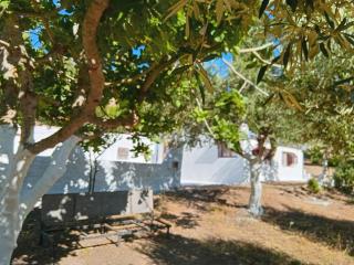 Maison de montagnes - 3